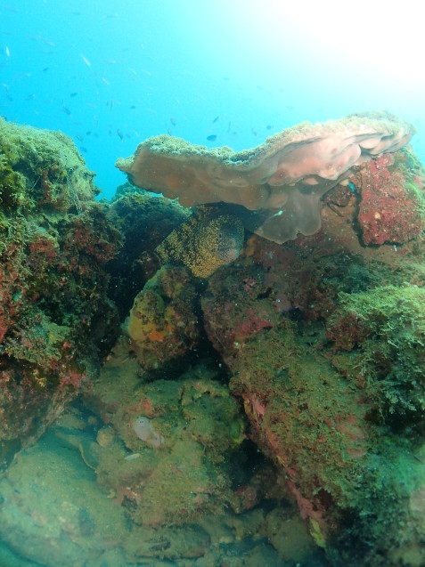 e0115199_20364196.jpg