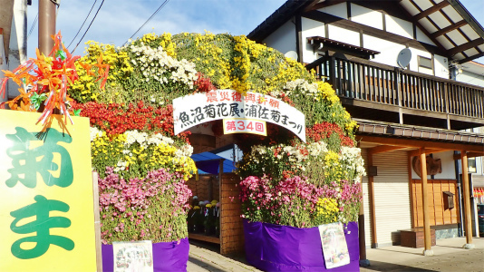 菊まつりが閉会となりました_c0336902_21172218.jpg
