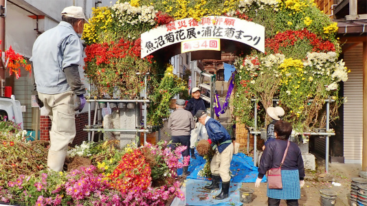菊まつりが閉会となりました_c0336902_21173889.jpg