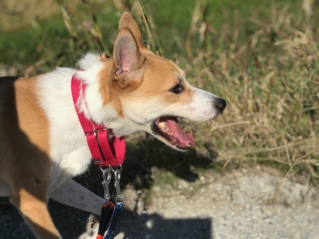 今日も笑顔です♪_f0242002_11401966.jpg