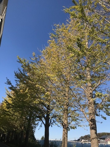 今日も笑顔です♪_f0242002_11464581.jpg