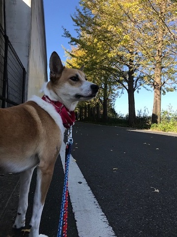 今日も笑顔です♪_f0242002_11465081.jpg