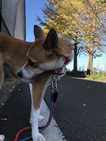 今日も笑顔です♪_f0242002_11482660.jpg