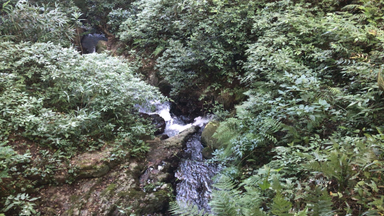 雷山神籠石と雷神社 rはriverの r 雷山神籠石と雷神社 rはriverの r