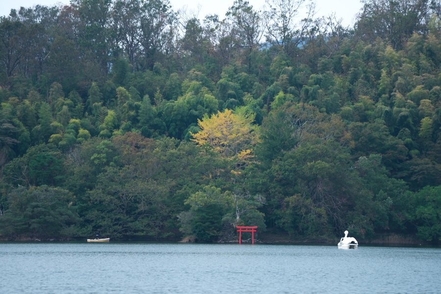 伊豆高原 一碧湖の秋の始まり_a0263109_19115751.jpg