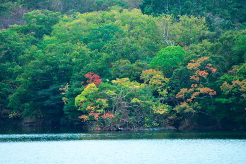 伊豆高原 一碧湖の秋の始まり_a0263109_19115764.jpg