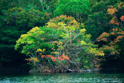 伊豆高原 一碧湖の秋の始まり_a0263109_19115882.jpg