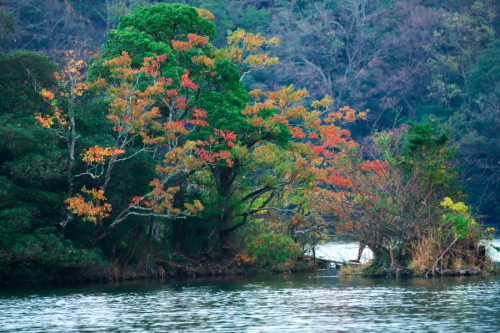 伊豆高原 一碧湖の秋の始まり_a0263109_19122342.jpg
