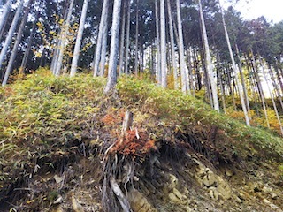 東白川、熊穴台と手掛岩山_c0359615_22530378.jpg