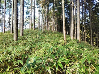 東白川、熊穴台と手掛岩山_c0359615_22552263.jpg