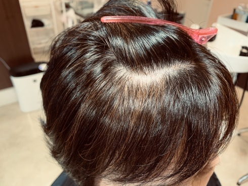 ヘアマニキュアで白髪染め_f0376319_20063307.jpeg