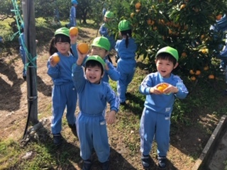 a0212624_16581809.jpeg