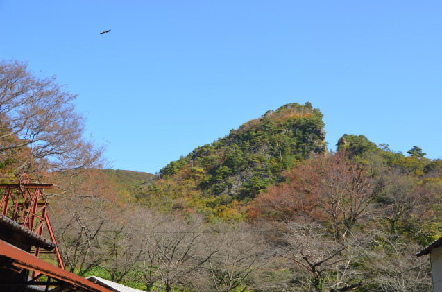 家族旅行 佐渡ヶ島へ_c0202242_14082458.jpg