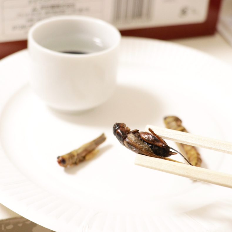中銀カプセルタワーで虫食ナイト_c0060143_10225200.jpg