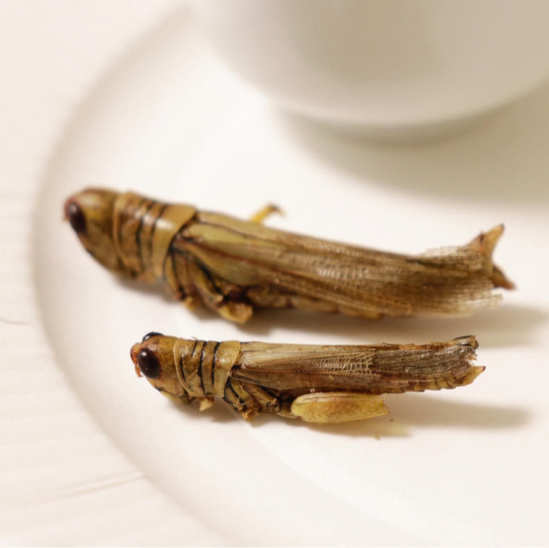 中銀カプセルタワーで虫食ナイト_c0060143_10233920.jpg