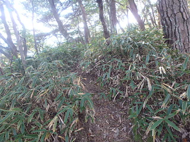山羊の戸渡 頑張るおじさん_f0334143_2052190.jpg
