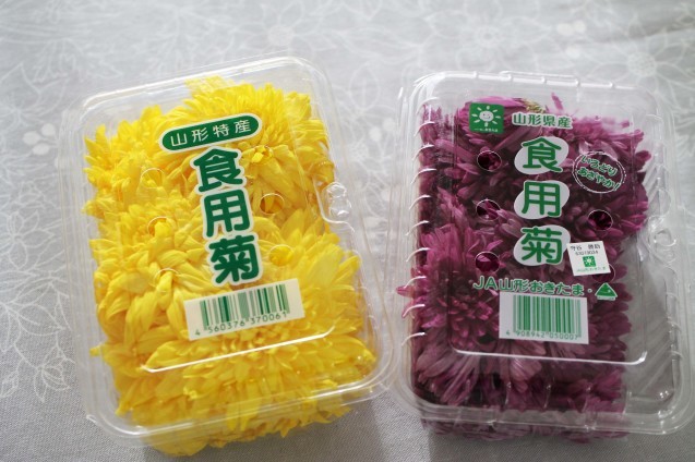 小菊と近況報告_d0377645_14520547.jpg