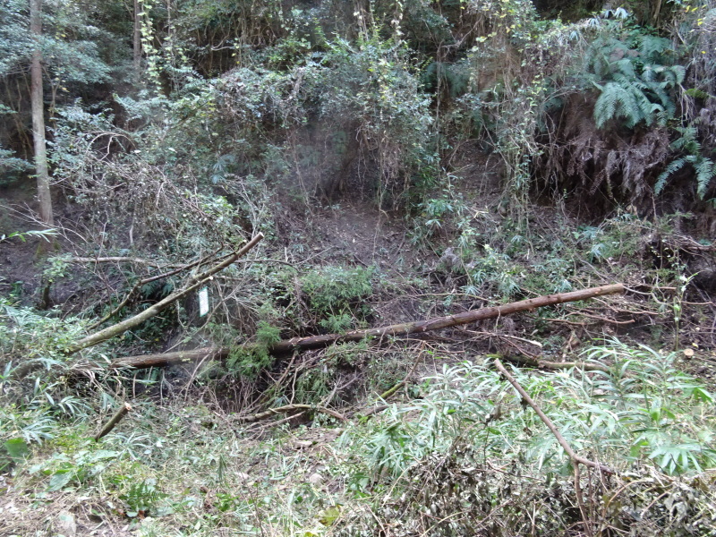 c0108460_16554358.jpg