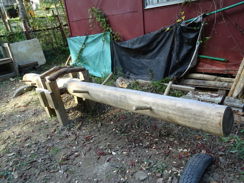 c0108460_17092122.jpg