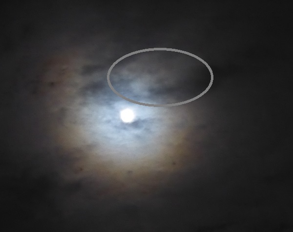 c0222861_2024246.jpg