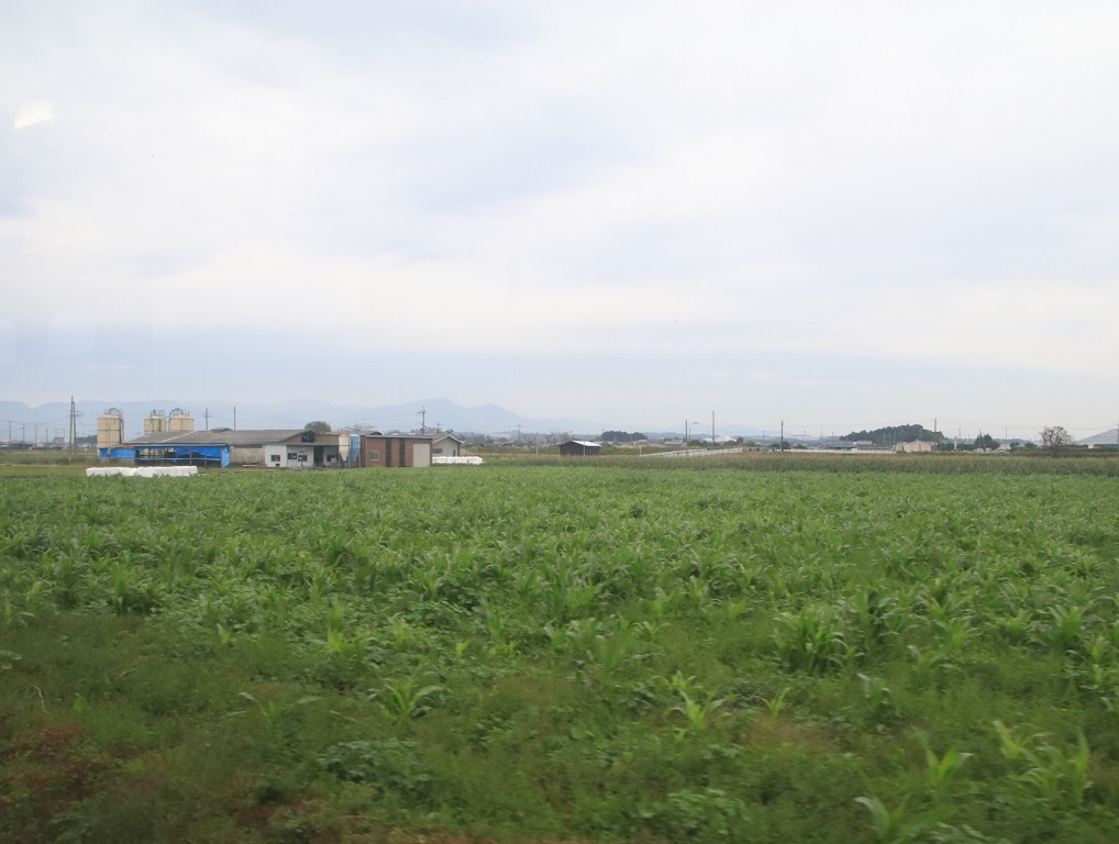 JR彦根駅から近江鉄道乗車 _d0202264_9334496.jpg