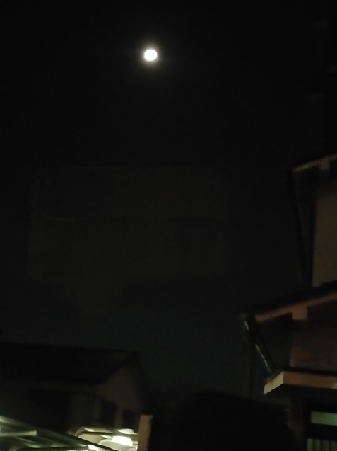 亀有に!_c0162773_11243285.jpg