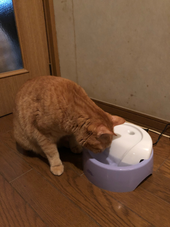 おさがり第2弾とウマウマ♪_e0355177_20421334.jpg