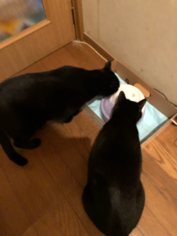 振り返りありがとうございました。_e0355177_20421603.jpg