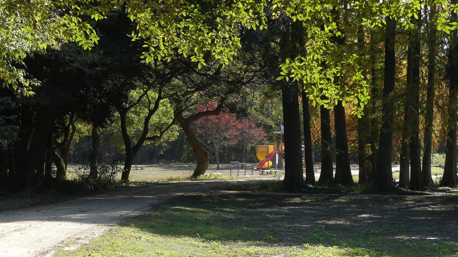 秋ヶ瀬公園ふたりぼっち　【 2019　11/9（土) 】_a0185081_10143835.jpg