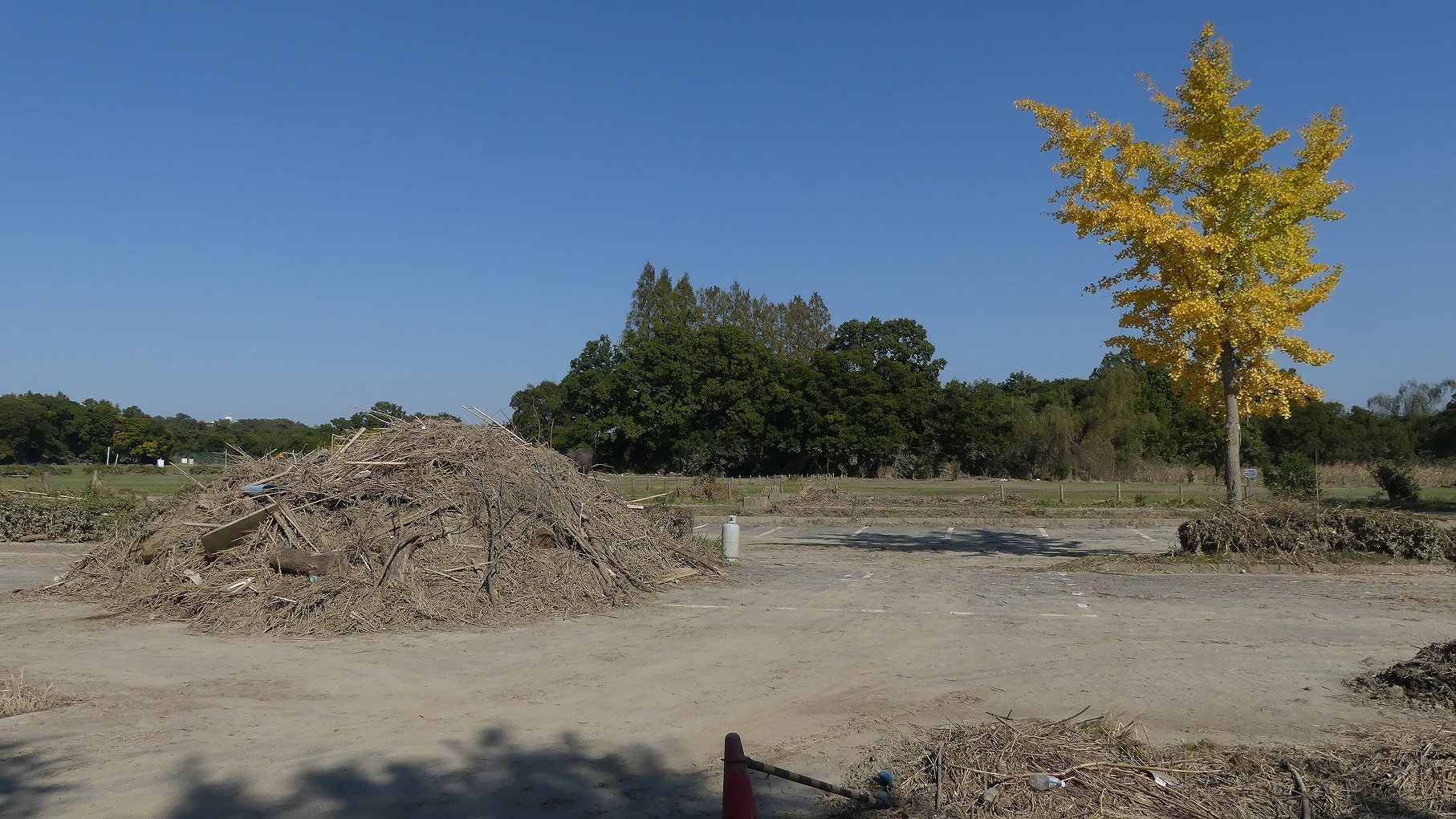秋ヶ瀬公園ふたりぼっち 【 2019 11/9(土) 】_a0185081_10471803.jpg