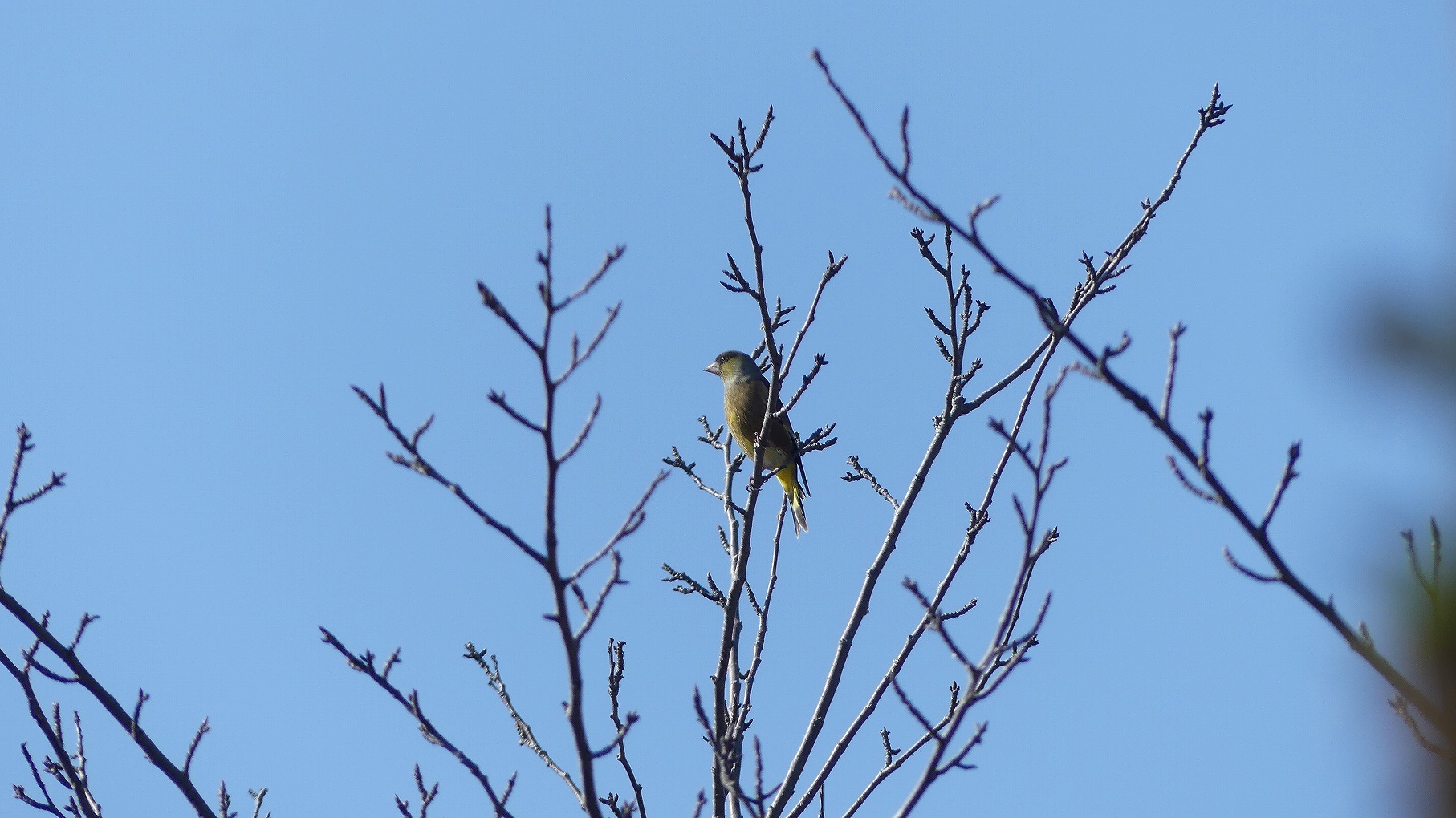 秋ヶ瀬公園ふたりぼっち 【 2019 11/9(土) 】_a0185081_11011163.jpg