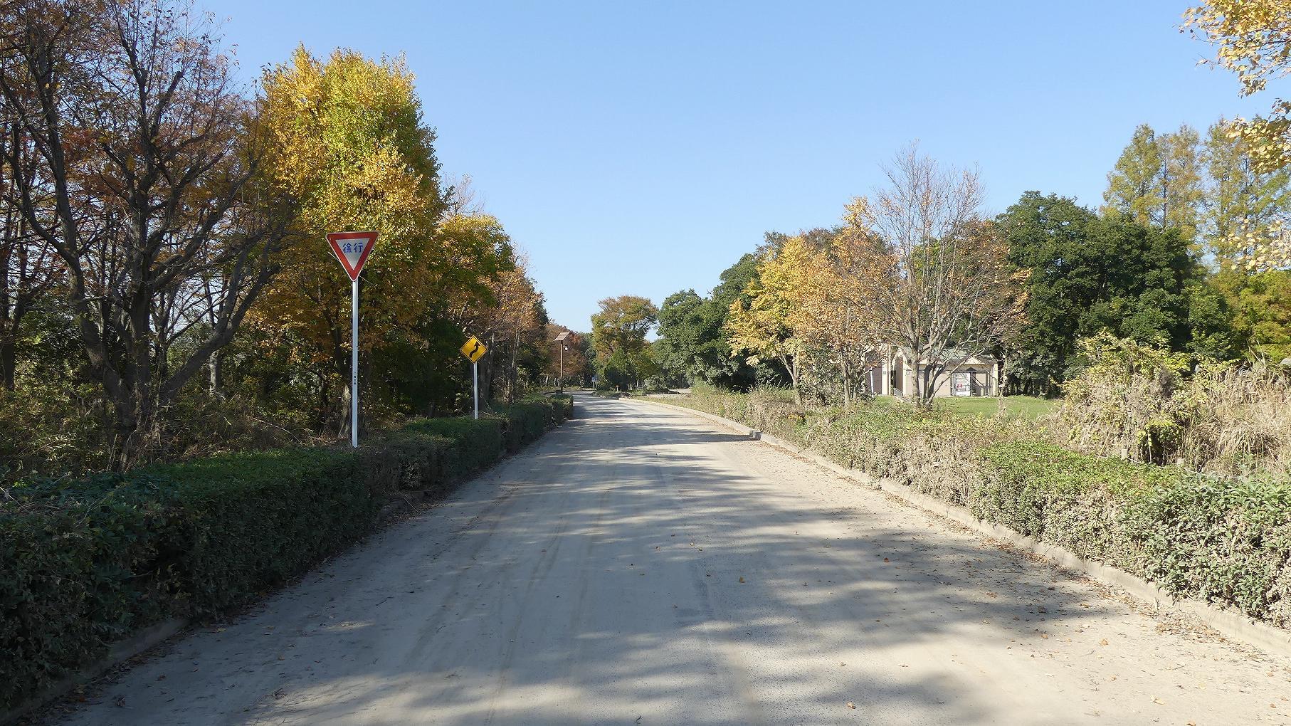 秋ヶ瀬公園ふたりぼっち 【 2019 11/9(土) 】_a0185081_11012692.jpg