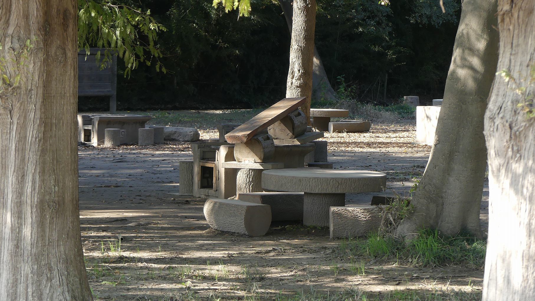 秋ヶ瀬公園ふたりぼっち 【 2019 11/9(土) 】_a0185081_11053764.jpg
