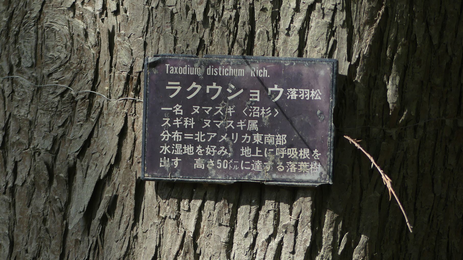 秋ヶ瀬公園ふたりぼっち 【 2019 11/9(土) 】_a0185081_15191230.jpg