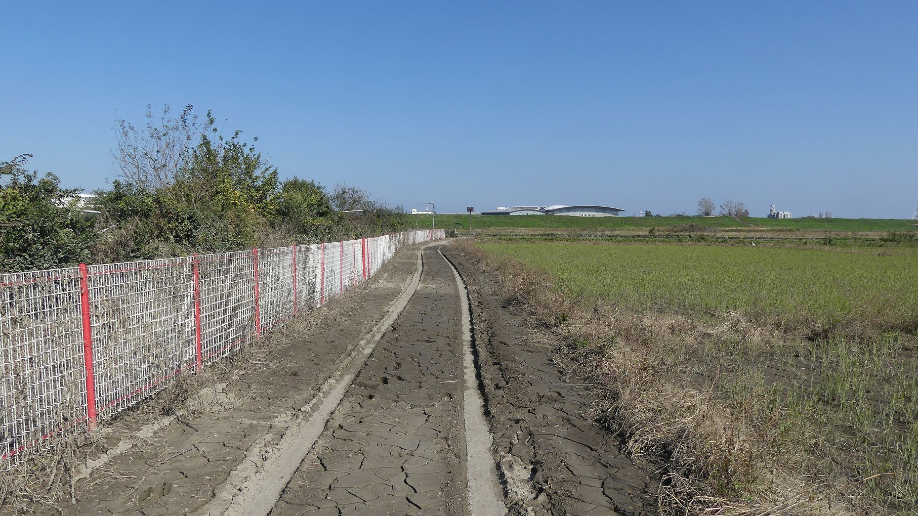 秋ヶ瀬公園ふたりぼっち その2_a0185081_15405438.jpg