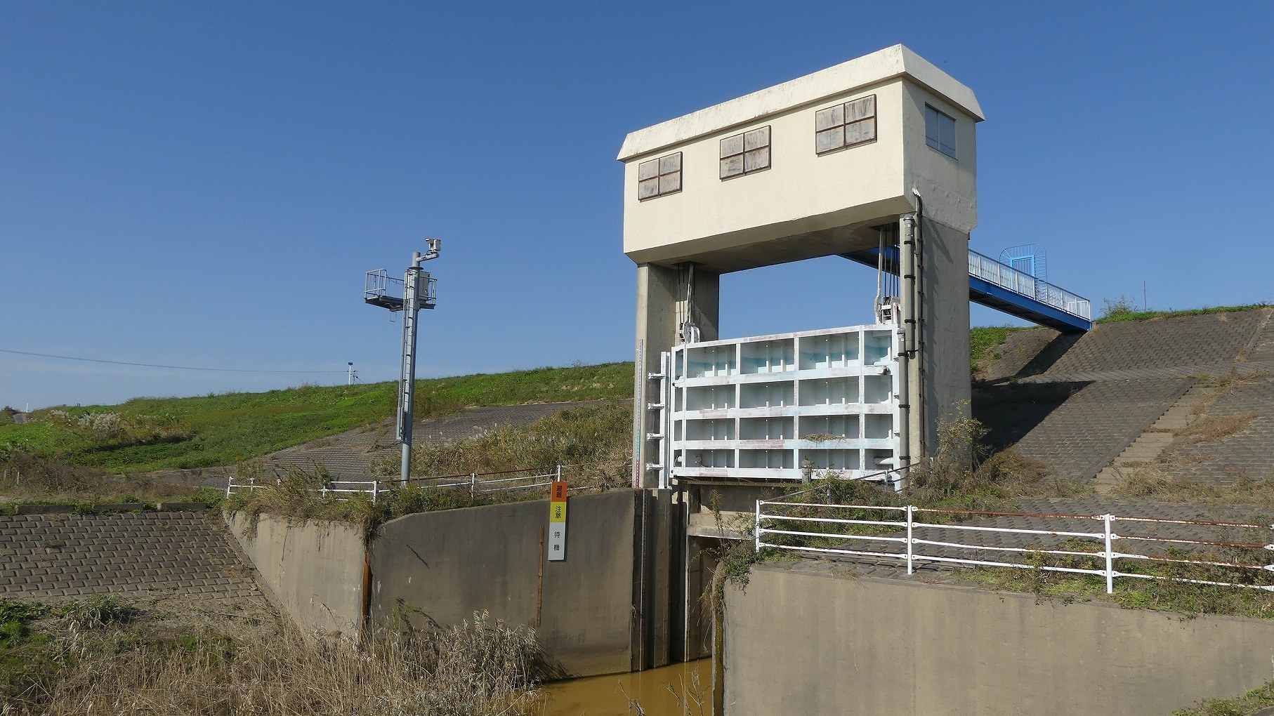 秋ヶ瀬公園ふたりぼっち その2_a0185081_15562867.jpg