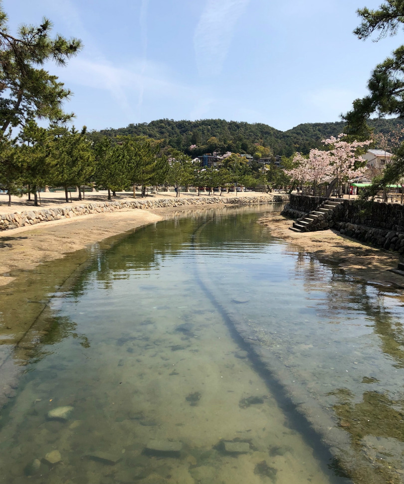 中年の日本帰郷Vol.28 人のおらん【 日本三景宮島】独り占め散策_e0034987_10571205.jpg