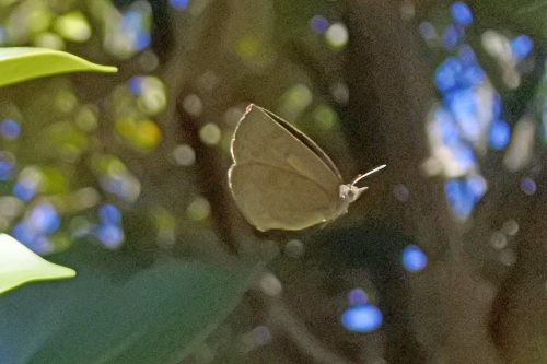d0353091_14413810.jpg