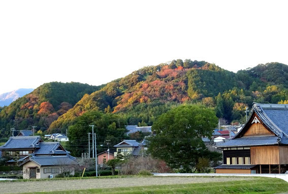 夕日に映える里山紅葉_b0145296_19150721.jpg