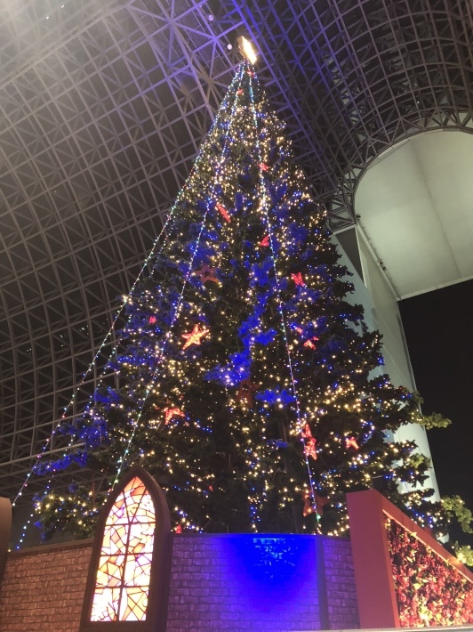 f0201297_11370064.jpeg