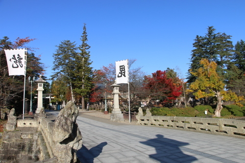 松が岬公園の紅葉・黄葉　２０１９．１１．１３朝_c0075701_09252991.jpg