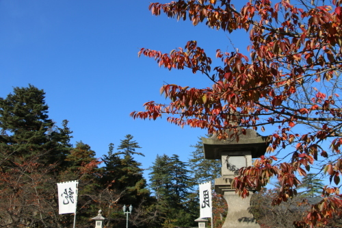 松が岬公園の紅葉・黄葉　２０１９．１１．１３朝_c0075701_09254685.jpg
