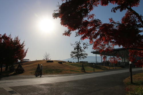松が岬公園の紅葉・黄葉　２０１９．１１．１３朝_c0075701_09265859.jpg