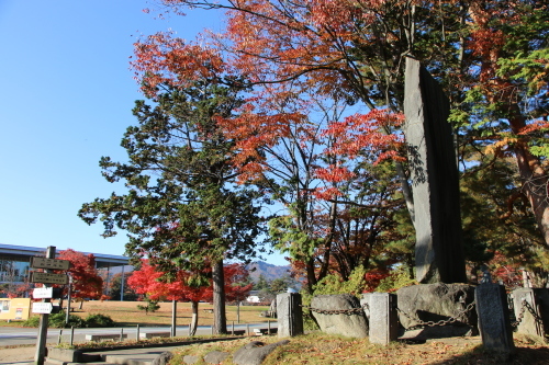 松が岬公園の紅葉・黄葉　２０１９．１１．１３朝_c0075701_09273407.jpg