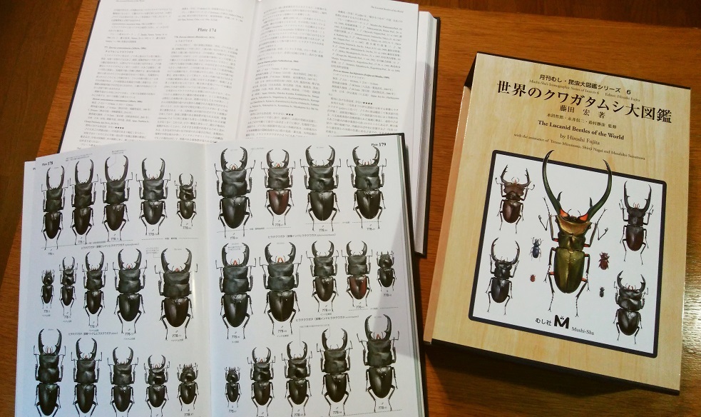 日本産クワガタムシ大図鑑 The Lucanid Beetles of Ja.. - 語学・辞書 