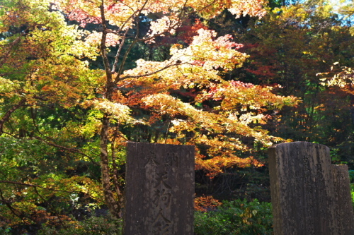 古峰神社の紅葉1_a0263109_15014046.jpg