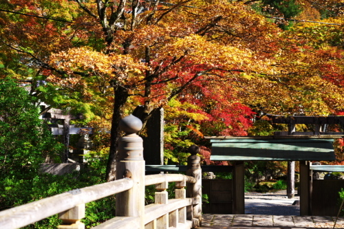 古峰神社の紅葉1_a0263109_15020738.jpg