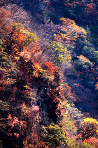 奥日光 いろは坂(第一)の秋の終わり_a0263109_18254876.jpg