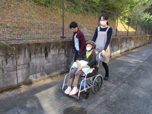 11/12 朝の散歩_a0154110_16301786.jpg