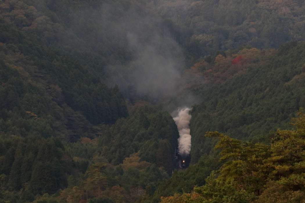 緑の森に光るヘッドライトと湧き上がる煙　- 2019年晩秋・山口線 -_b0190710_22311222.jpg